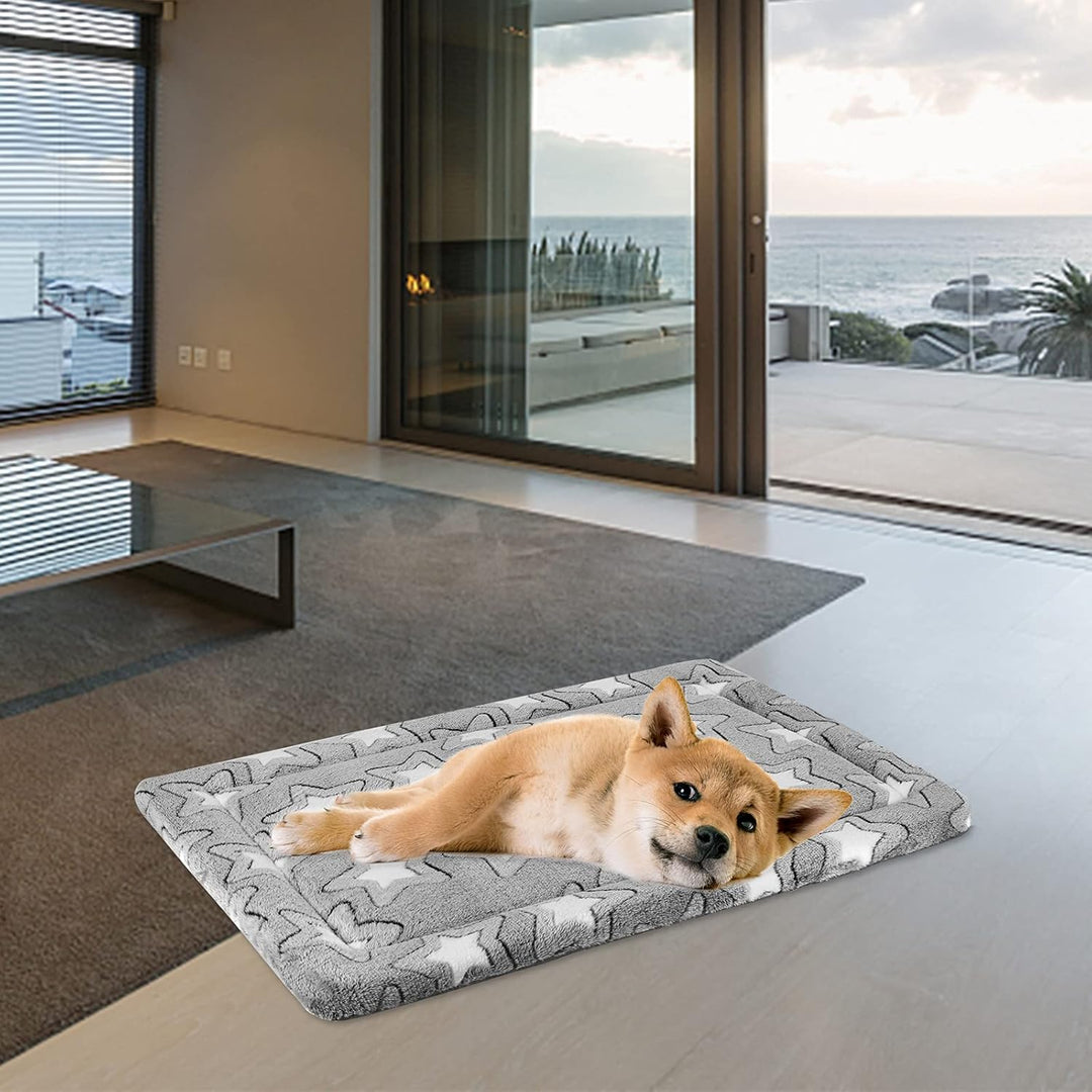 EMPSIGN Hundebett Mittelgrosse Hunde, Waschbar Hundekissen (kühl und warm), Hundematte aus hochdicht