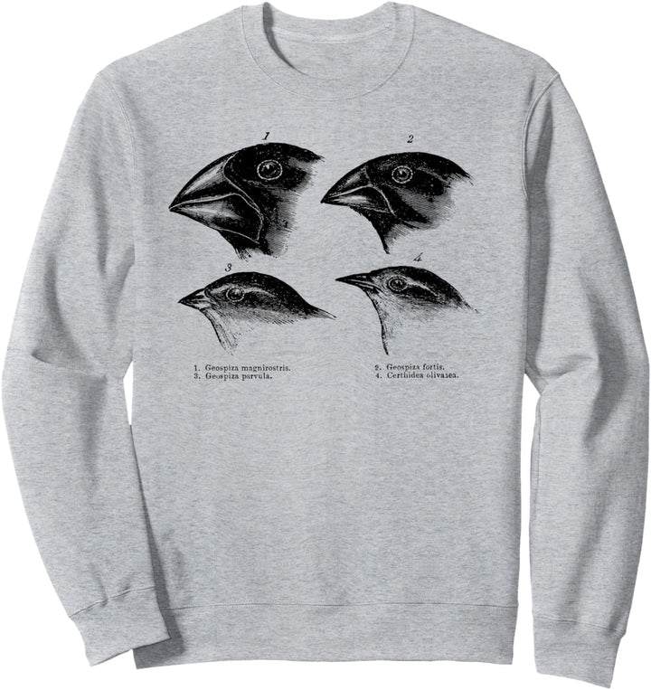Darwin's Finches Illustration T-Shirt Evolution Atheist Sweatshirt