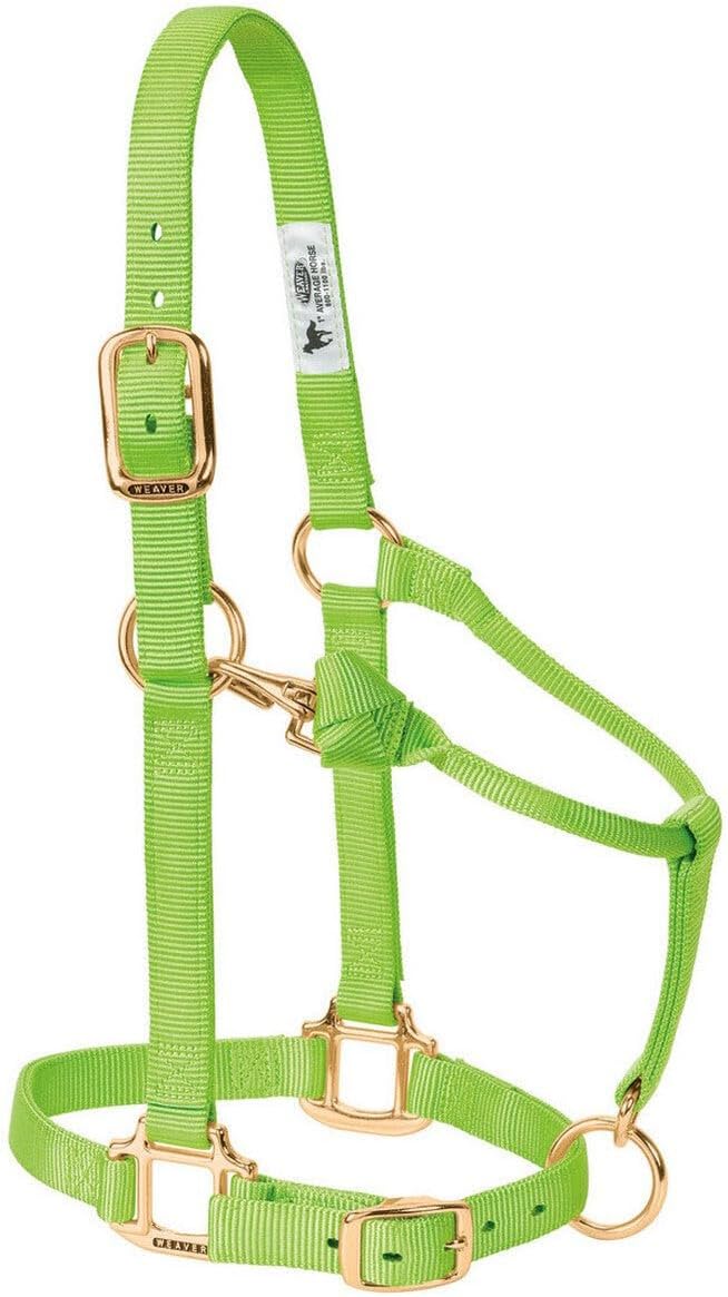 Weaver Leather Original verstellbares Nylonhalfter für Pferde Suckling hunter green, Suckling hunter