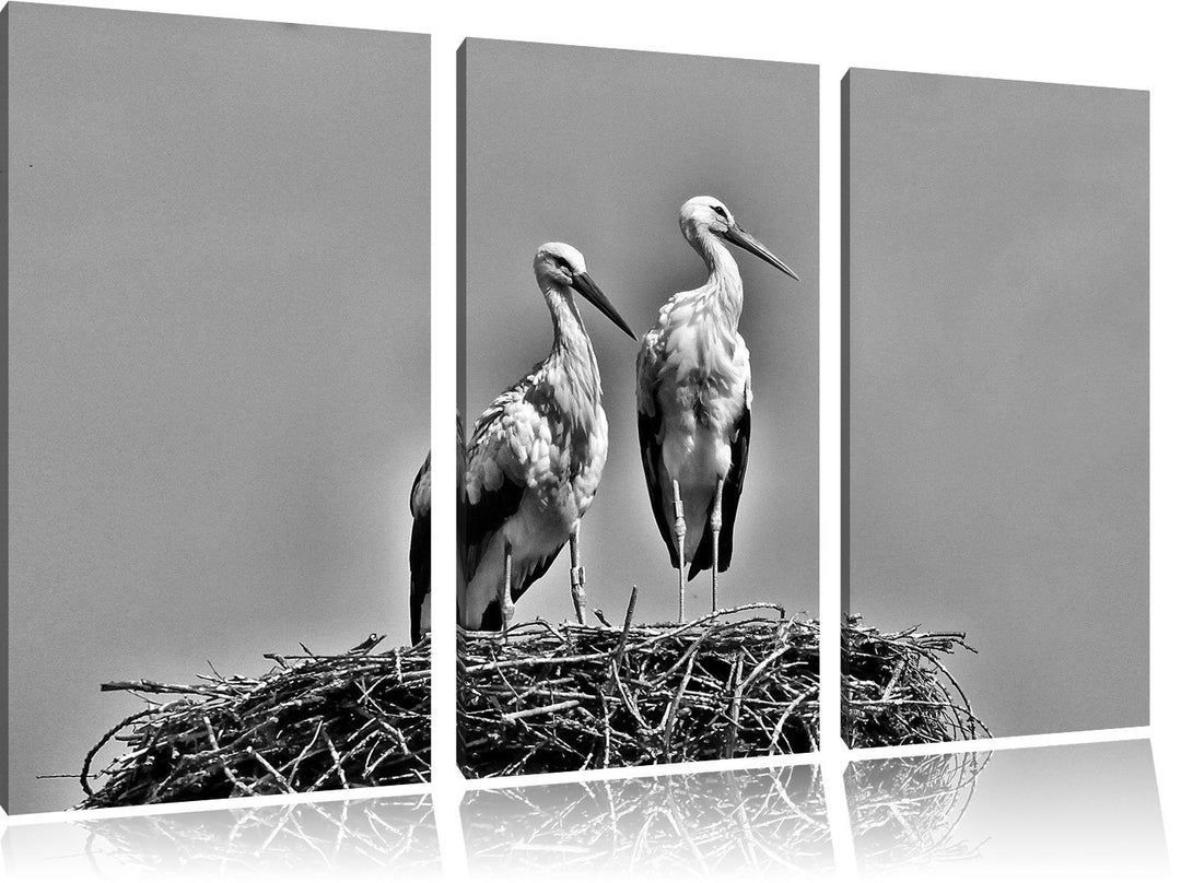 Pixxprint Zwei stolze Störche im Nest als Leinwandbild/Grösse: 3 Teilig (120x80) cm/Wandbild/Kunstdr
