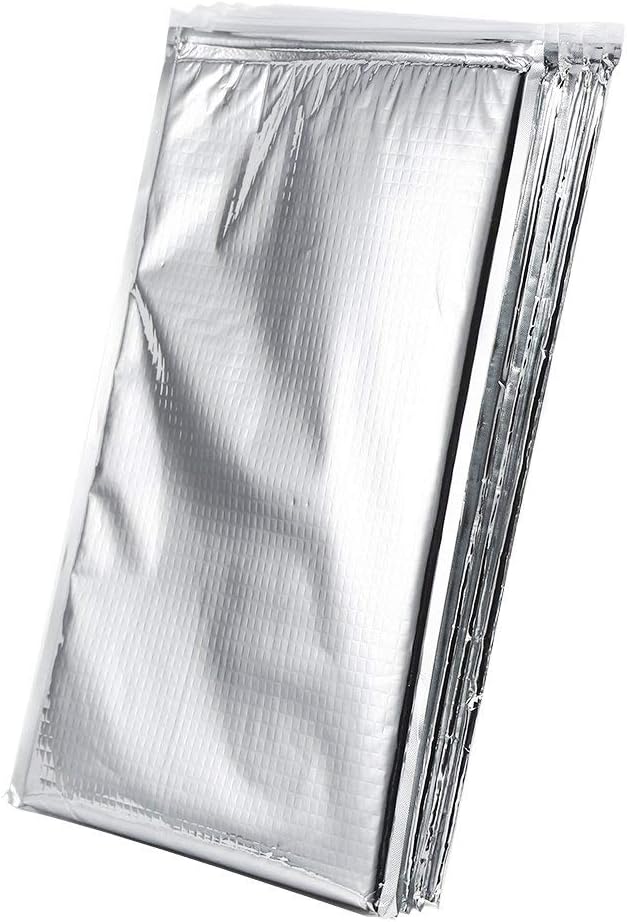 Keenso Picknick Aluminiumfolie Isolierbeutel, 5 STK/Set Camping Lebensmittel Aufbewahrungsbeutel Alu