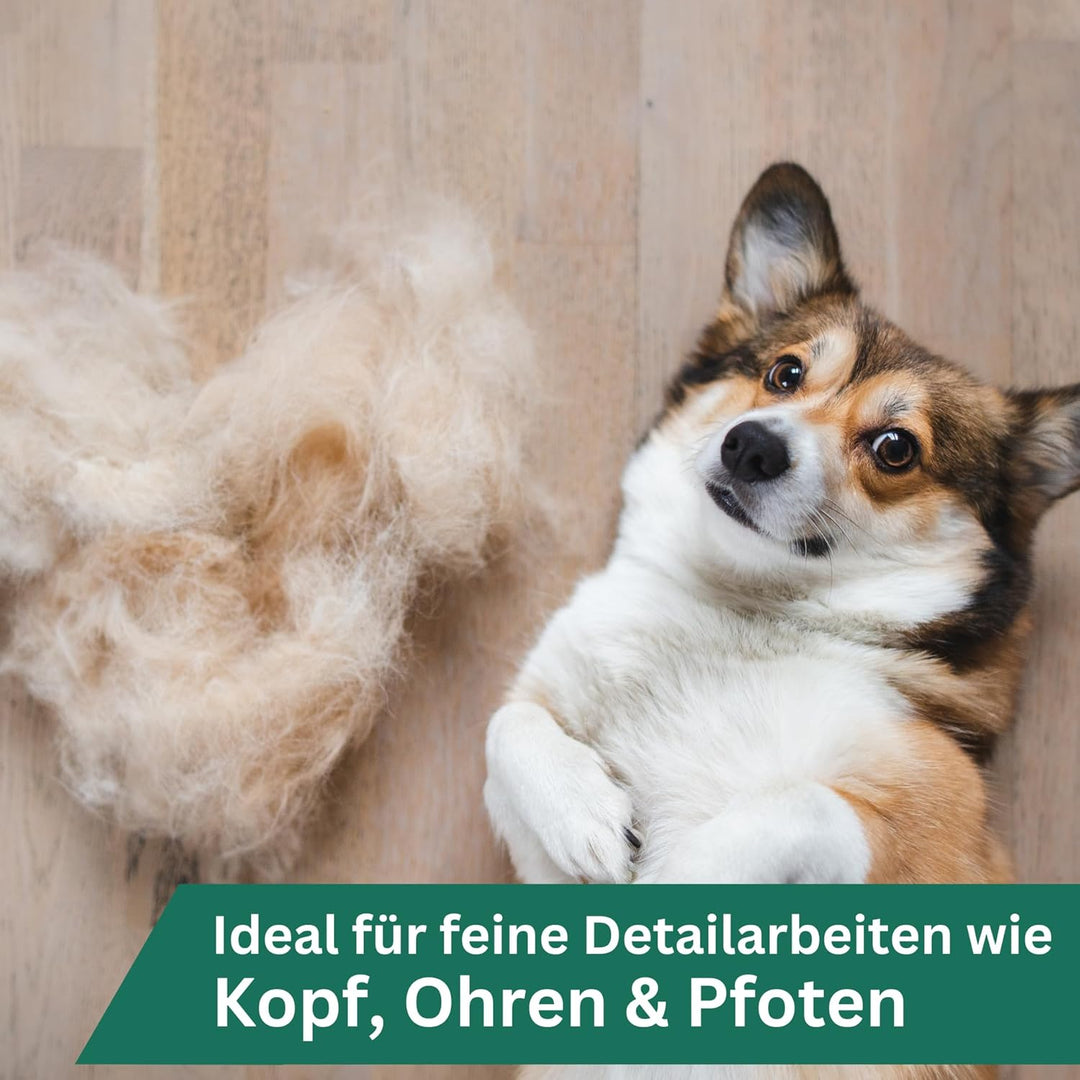 Agrarzone Edition Aesculap Exacta Hundeschermaschine rot - Inklusive Ersatz Scherkopf - Präzisionssc