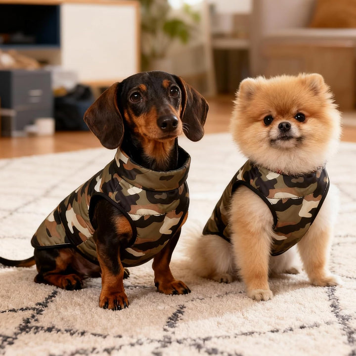 Hundemantel Winter Hundejacke Warme Hundemantel für Kleine Hunde Winddichte Hundeweste mit Geschirr