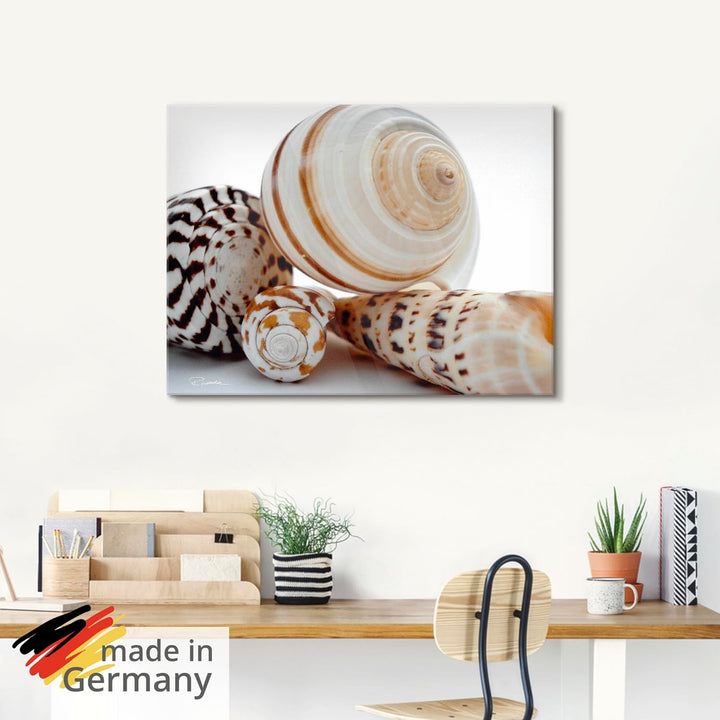 ARTland Glasbilder Wandbild Glas Bild einteilig 40x40 cm Quadratisch Natur Tiere Muscheln Strand Mee