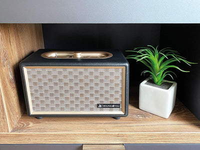 SCHWAIGER 661705 Retro Bluetooth Lautsprecher Vintage Speaker Lederoptik Holzgehäuse Akku HiFi Musik