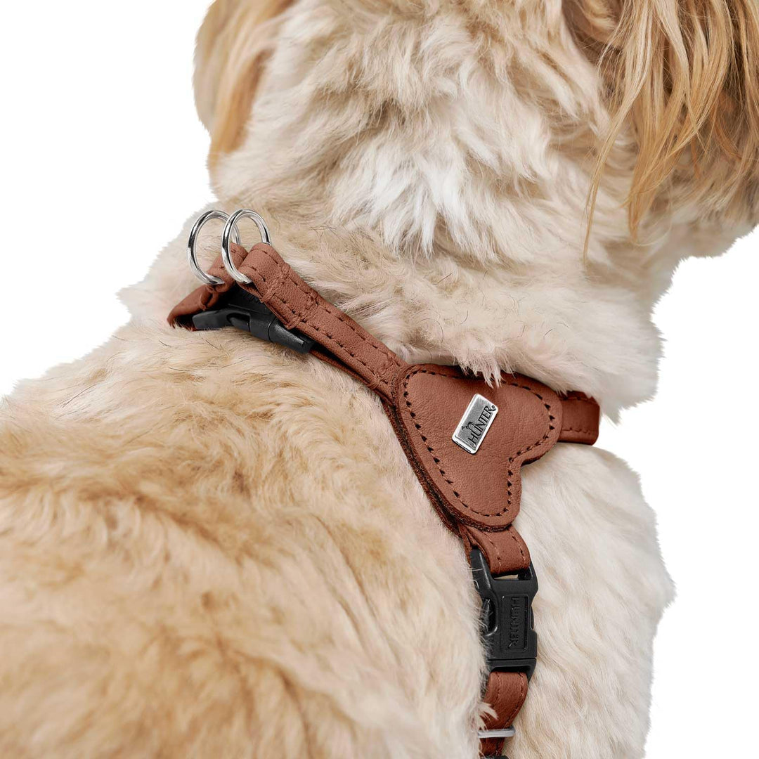 Hunter Hundegeschirr SOHO MINI, Farbe: Cognac, Rindsleder, weich & geschmeidig, fellschonend, leicht