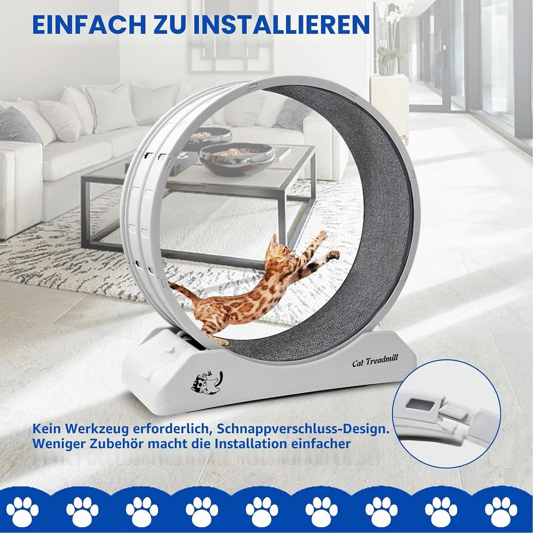 homegroove 31,5 Zoll Katzenräder für Indoor-Katzen, Plastik Katze Übung Laufband Rad mit Teppich Sta