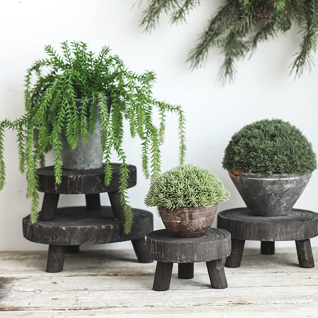 FIYSON Holz-Topfpflanzenständer Blumentopfhalter Holz Schemel Sukkulenten Ausstellungsständer Deko B