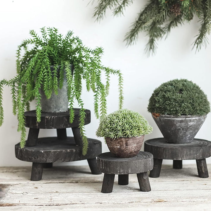 FIYSON Holz-Topfpflanzenständer Blumentopfhalter Holz Schemel Sukkulenten Ausstellungsständer Deko B