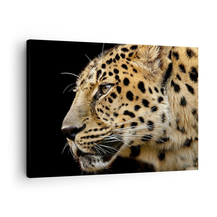 Bilder auf Leinwand Tiere Leopard wilde Katze wilde Tiere Leinwandbild 70x50cm Wandbilder Dekoration