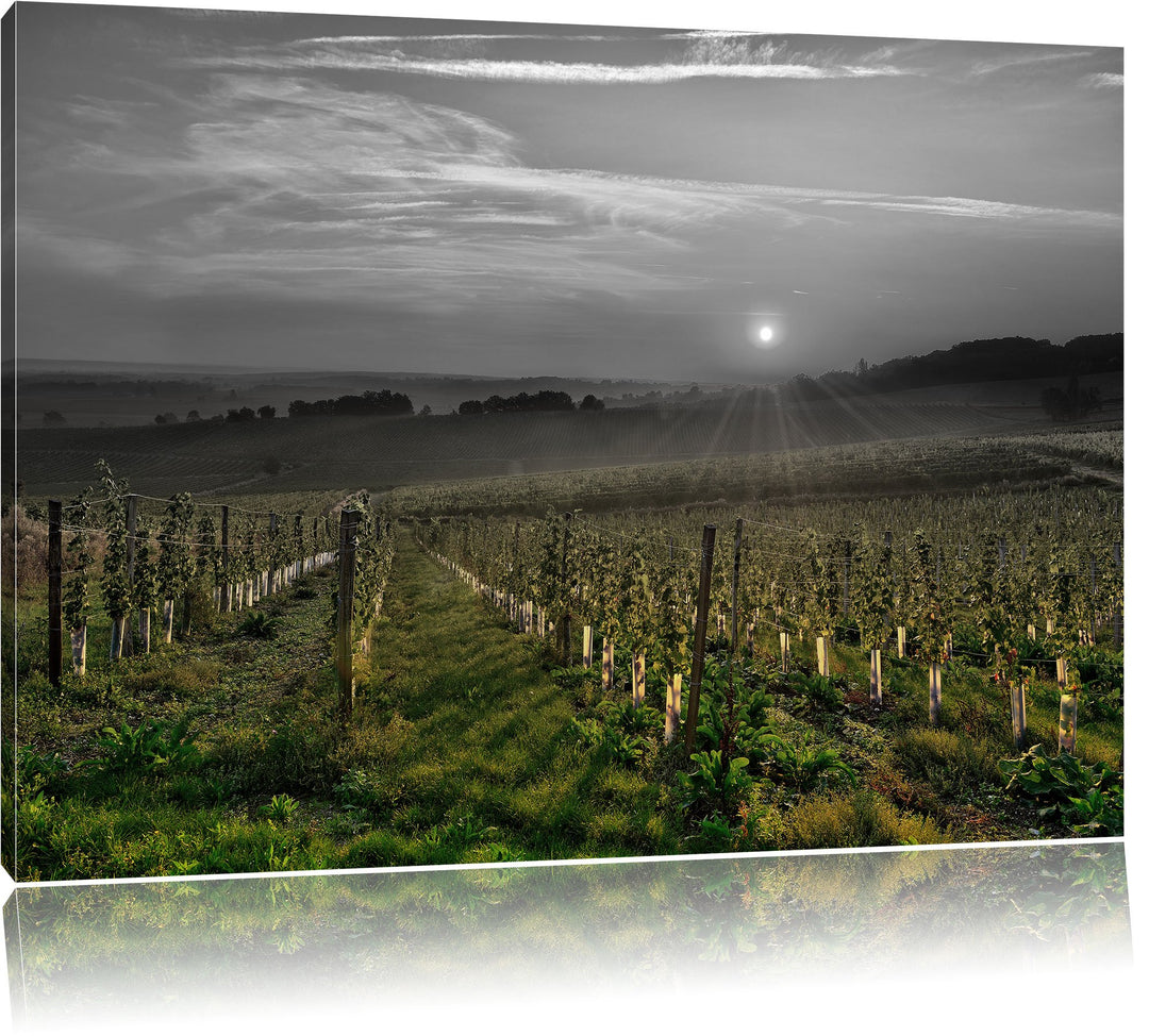 Pixxprint Weinberg in Bergerac Frankreich als Leinwandbild/Grösse: 100x70 cm/Wandbild/Kunstdruck/fer