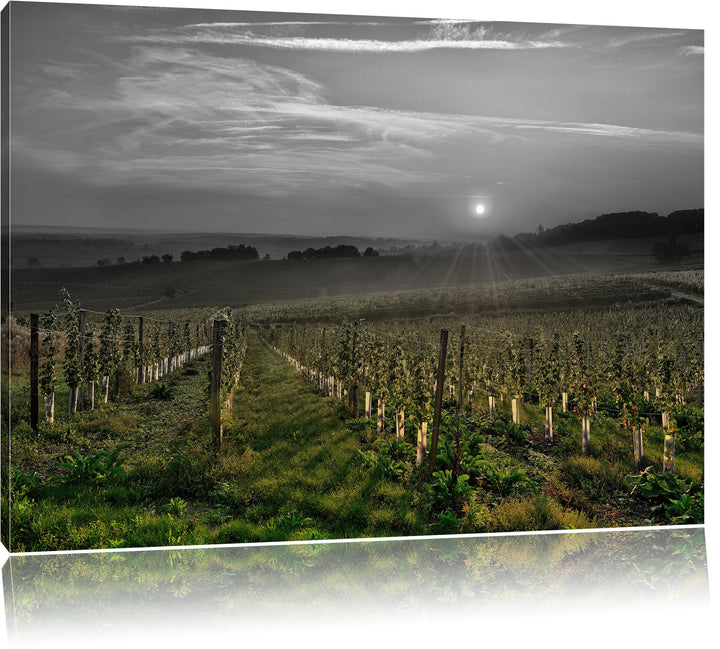 Pixxprint Weinberg in Bergerac Frankreich als Leinwandbild/Grösse: 100x70 cm/Wandbild/Kunstdruck/fer