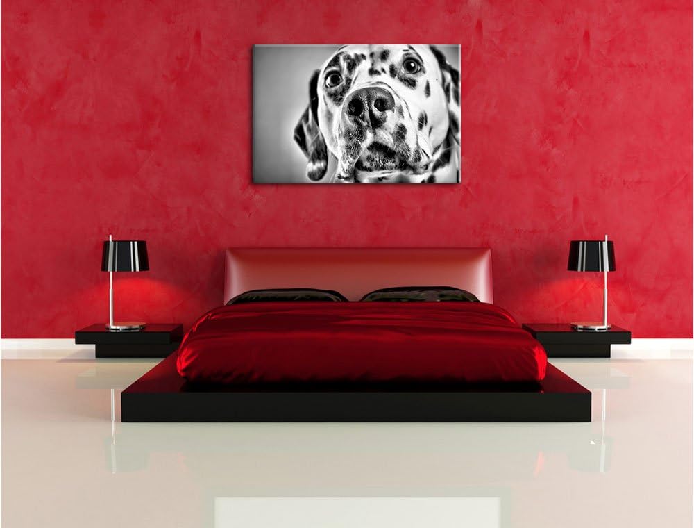Pixxprint Süsser Dalmatiner / 100x70cm Leinwandbild bespannt auf Holzrahmen/Wandbild Kunstdruck Deko