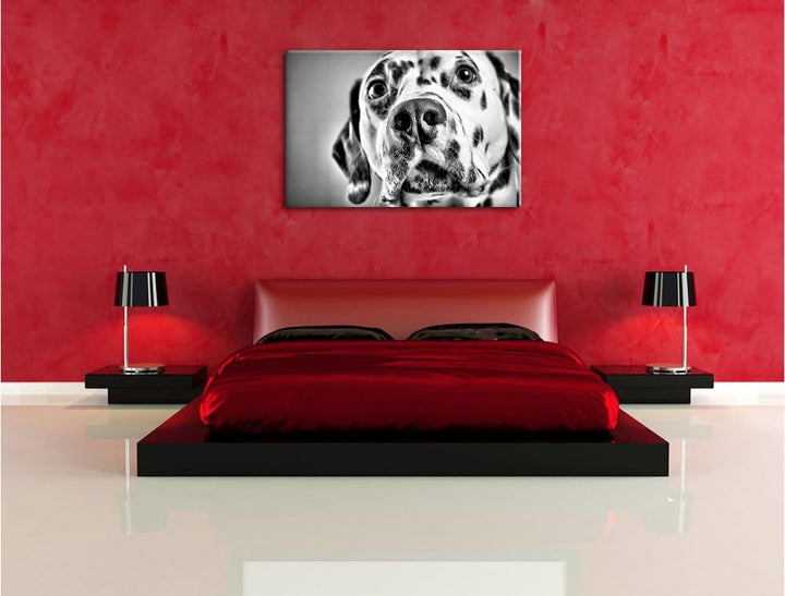 Pixxprint Süsser Dalmatiner / 100x70cm Leinwandbild bespannt auf Holzrahmen/Wandbild Kunstdruck Deko