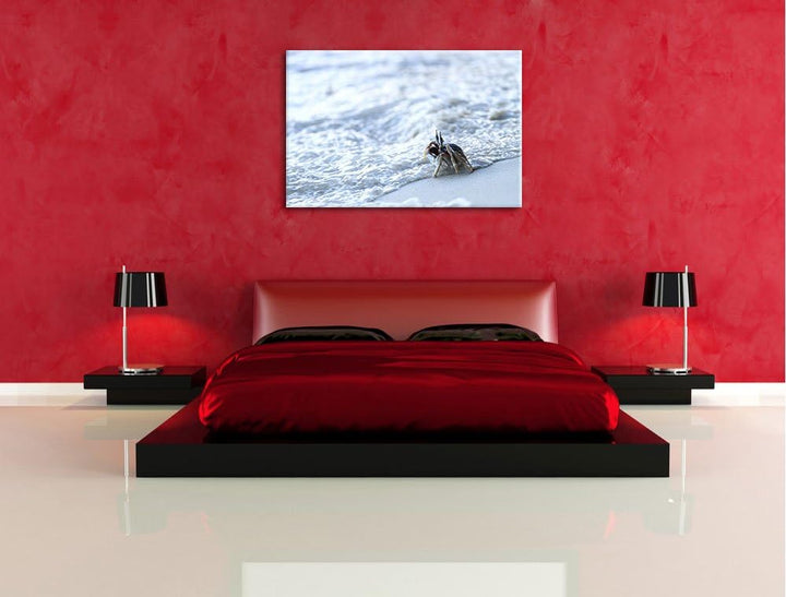 kleine Krabbe am Strand Leinwand, XXL riesige Bilder fertig gerahmt mit Keilrahmen, Kunstdruck auf W
