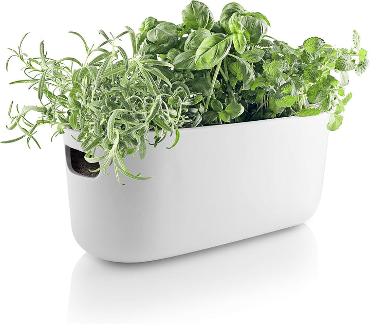 EVA SOLO | Selbstbewässernder Herb-Organiser white | Verhilft Kräutern zu einem langen Leben | Weiss