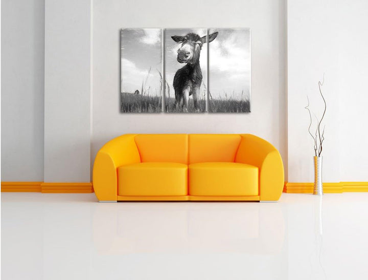 Pixxprint Esel im Feld / 3-Teilig/Gesamtmass 120cm Leinwandbild bespannt auf Holzrahmen/Wandbild Kun