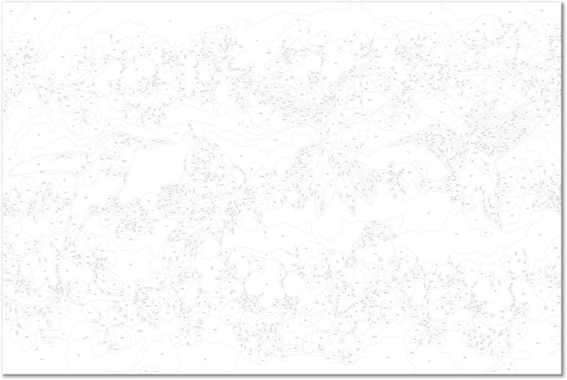 murando - Malen nach Zahlen Kolibri bunt Blumen 60x40 cm Malset mit Holzrahmen auf Leinwand für Erwa