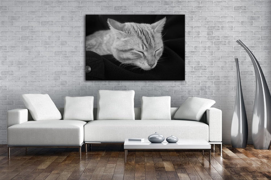 deyoli goldig schlafende Katze Effekt: Schwarz/Weiss Format: 80x60 als Leinwand, Motiv fertig gerahm