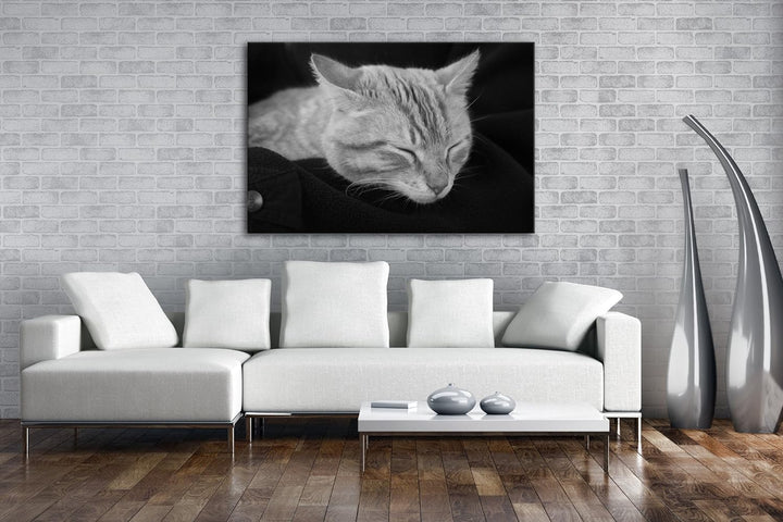 deyoli goldig schlafende Katze Effekt: Schwarz/Weiss Format: 80x60 als Leinwand, Motiv fertig gerahm