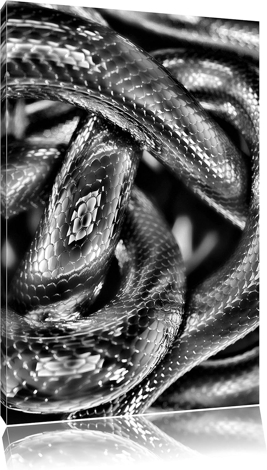 Pixxprint Monocrome, Dark Schwarze Schlangen, Format: 100x70 auf Leinwand, 100x70