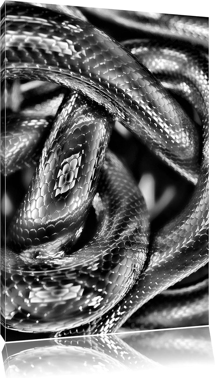 Pixxprint Monocrome, Dark Schwarze Schlangen, Format: 100x70 auf Leinwand, 100x70