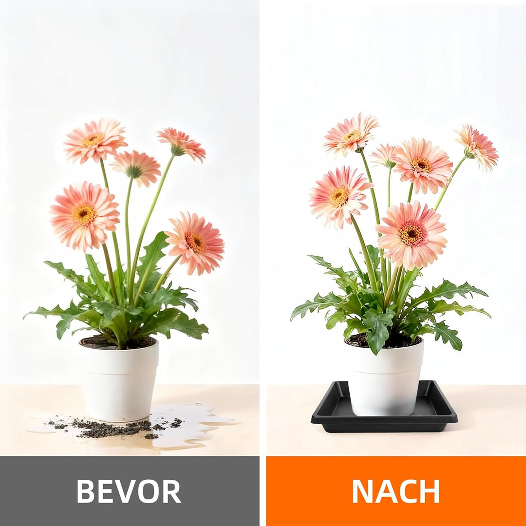 10 Stück Quadratische Pflanzen- Blumentopf-Teller – Keine Löcher, Robuster Kunststoff für Innen-/Aus