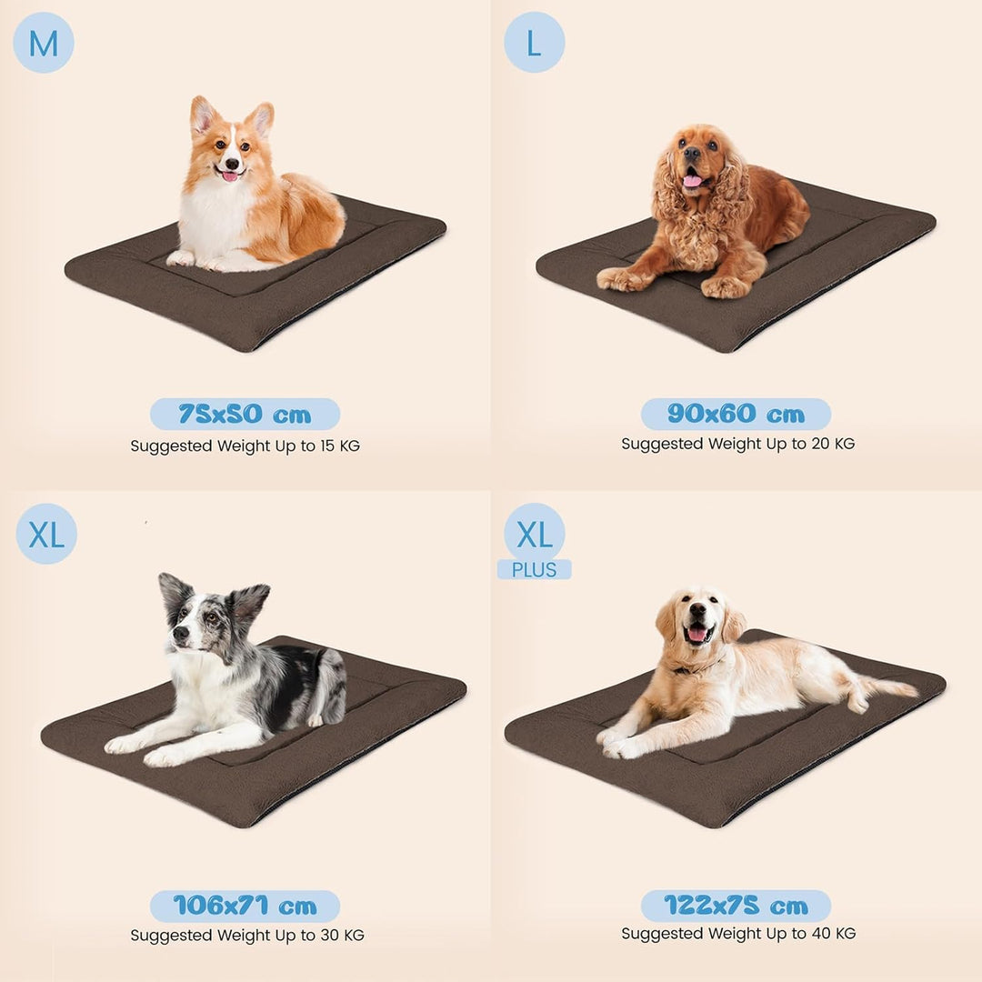 Baodan Hundebett Kleine Hunde Waschbar, 75x50 cm Hundekissen Flauschig mit rutschfeste Unterseite, H