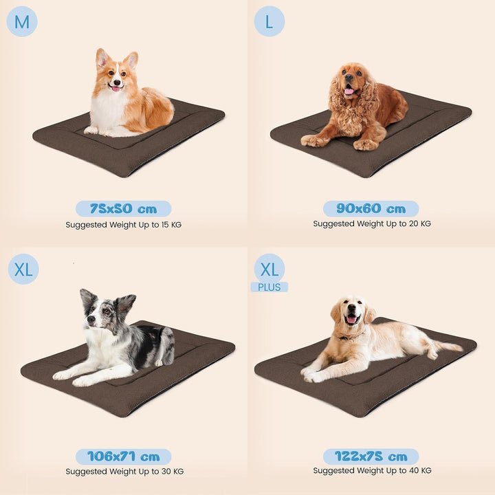 Baodan Hundebett Kleine Hunde Waschbar, 75x50 cm Hundekissen Flauschig mit rutschfeste Unterseite, H