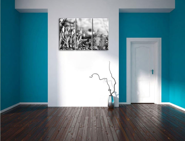 Pixxprint Schneeglöckchen am Waldrand als Leinwandbild/Grösse: 3 Teilig (120x80) cm/Wandbild/Kunstdr