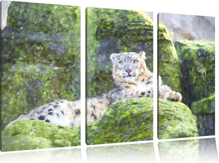 Schneeleopard auf Stein Spezial 3-Teiler Leinwandbild 120x80 Bild auf Leinwand, XXL riesige Bilder f