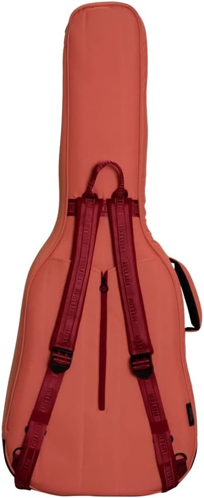 Ritter Bern RI-RGB4-D-FRO Dreadnought Gigbag