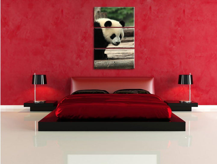 Pixxprint Panda auf Holzstämmen als Leinwandbild/Grösse: 3 Teilig (120x80) cm/Wandbild/Kunstdruck/fe
