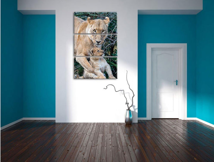 Pixxprint Löwin spielt mit Jungtier 3-Teiler Leinwandbild 120x80 Bild auf Leinwand