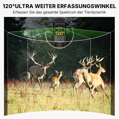 Wosports Wildkamera 4K HD Wildtierkamera, 33MP WLAN Nachtsichtkamera mit Bewegungsmelder, 0,1 s Ausl