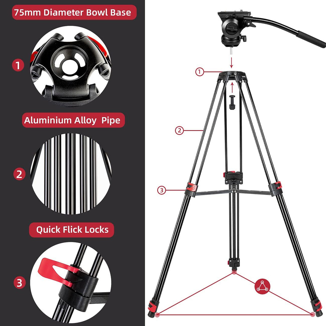 Heavy Duty Stativ 183 cm, Lusweimi Professionelles Aluminium-Videokamera-Stativ mit 2 Stück Universa