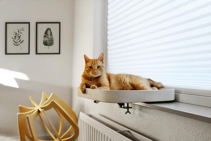 Ebi, Kyo Fensterkorb, 50 x 40 x 6 cm, Weiss, für Bett/Korb/Sofa/Tipi, Weiss, Katze
