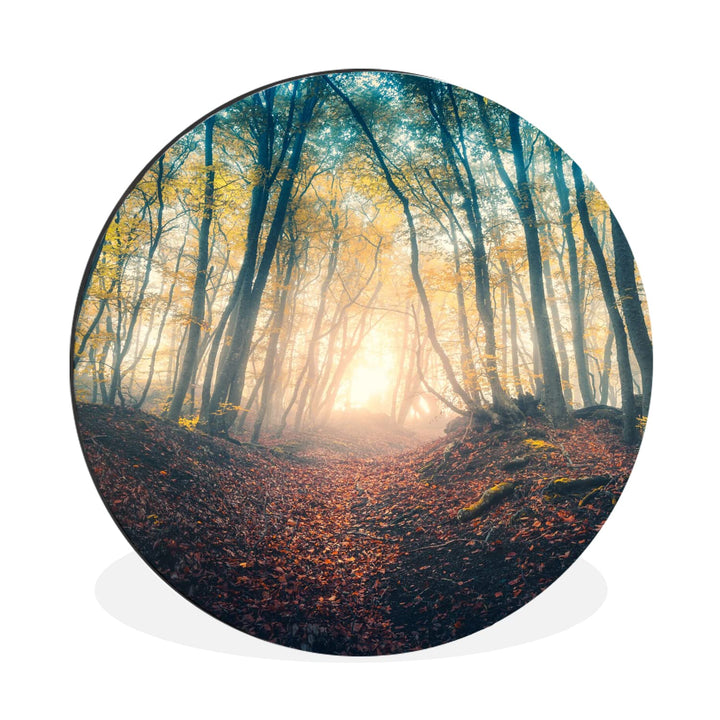 MuchoWow Wandbild Rund Wanddeko Deko Wohnzimmer Bilder 30x30 cm Wald - Nebel - Sonne - Herbst, 30x30
