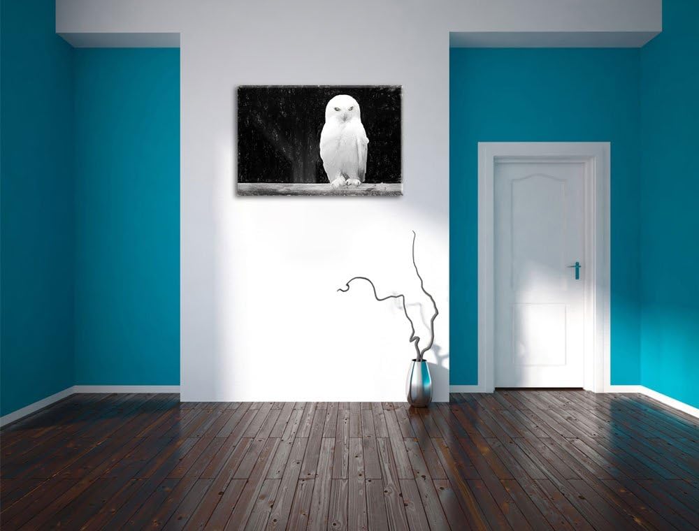 Pixxprint Weisse Schneeeule als Leinwandbild/Grösse: 100x70 / Wandbild/Kunstdruck/fertig bespannt, 1