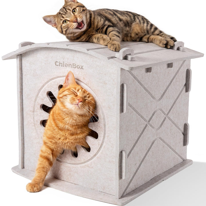 Katzenhöhle Filz: Gemütliches Katzenhaus Indoor, Katzenbett mit beruhigendem Kratzbogen, Robuste & K