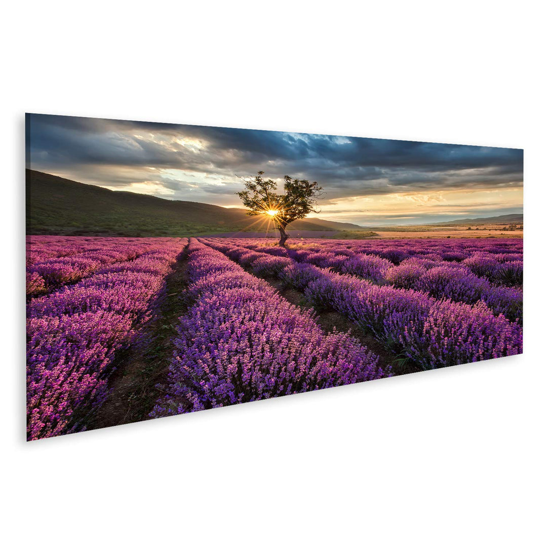 islandburner, Bild auf Leinwand Atemberaubende Landschaft mit Lavendelfeld bei Sonnenaufgang Wandbil