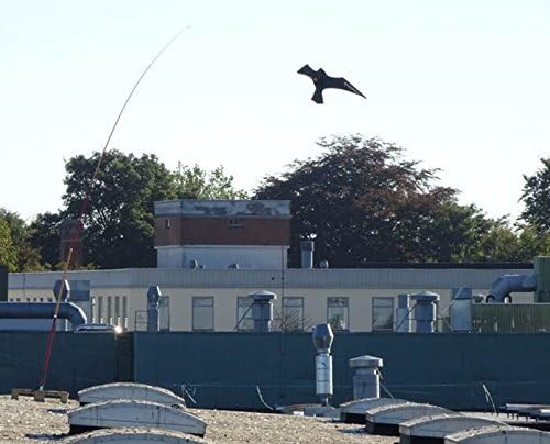 Vogelscheuche PROFESSIONELLE QUALITÄT 9METER