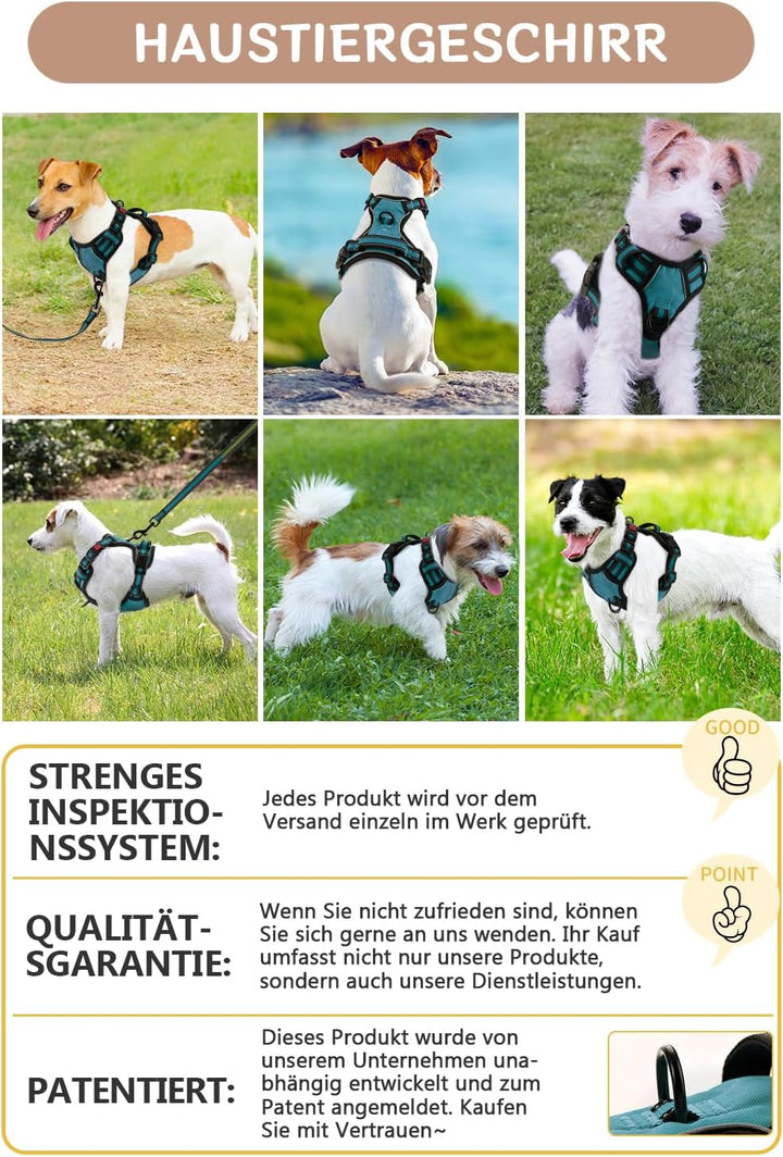 BaoCheng Hundegeschirr Anti Zug Hundegürtel,Kleine/mittlere/grosse Hunde,Atmungsaktives Mesh, Einfac