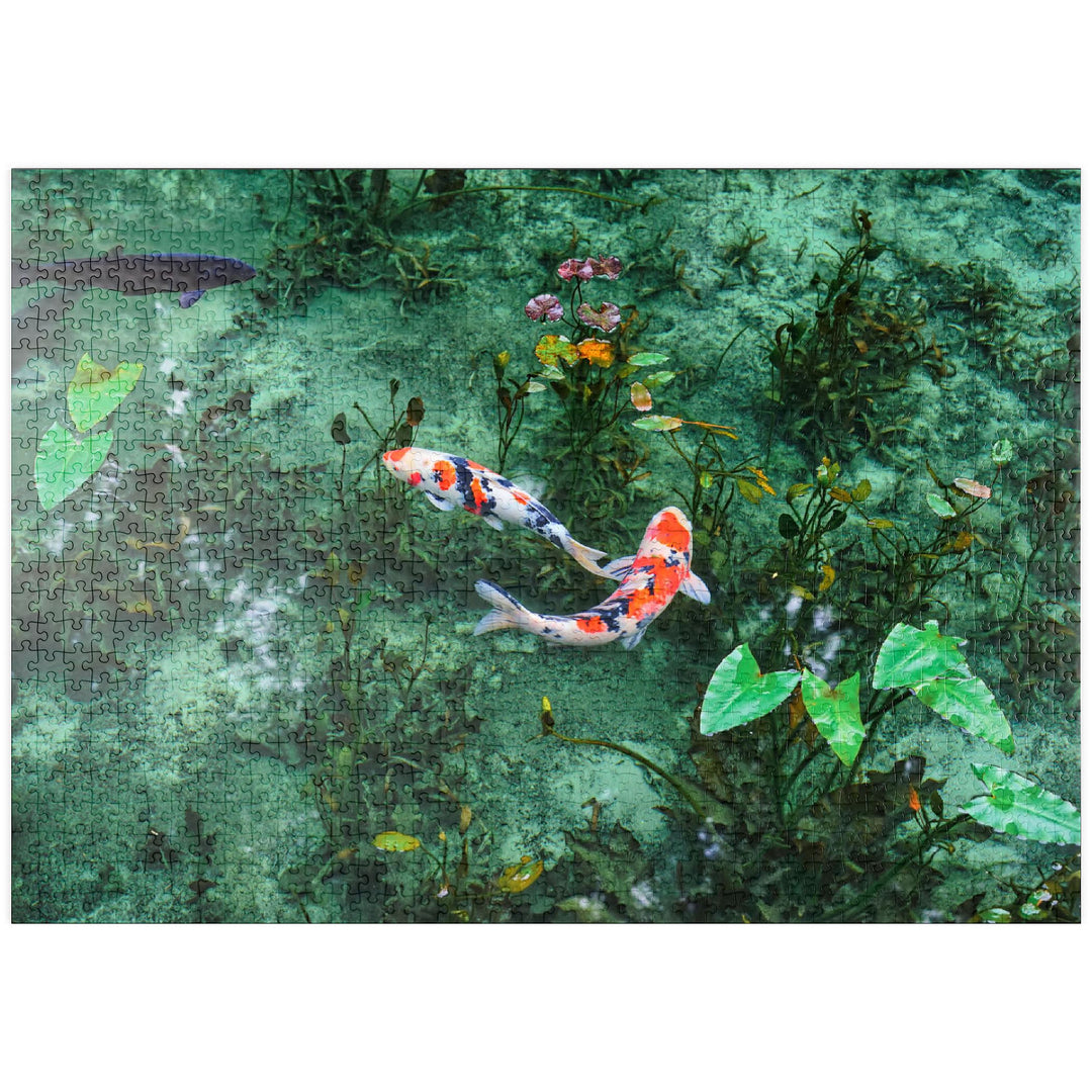 Monets Koi Teich in der Stadt Seki in der Präfektur Gifu, Japan - Premium 1000 Teile Puzzle - MyPuzz