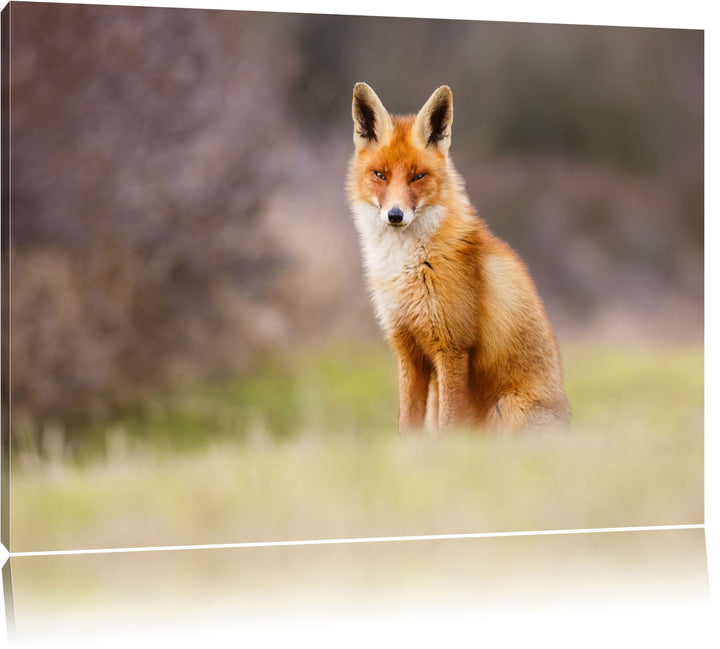 Pixxprint Listiger Fuchs Format: 100x70 auf Leinwand, XXL riesige Bilder fertig gerahmt mit Keilrahm