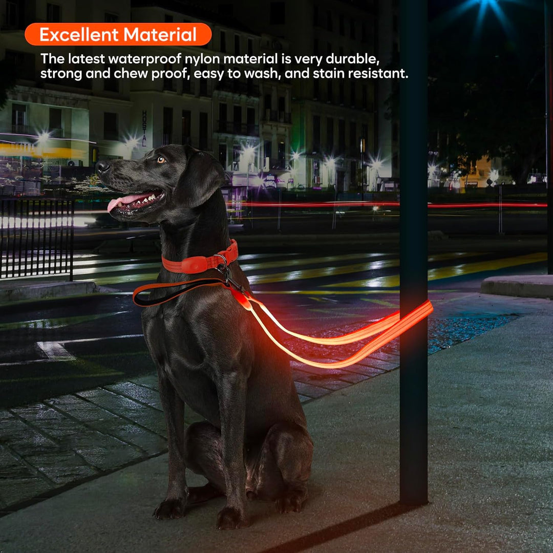ChalkLit LED Hundeleine, Beleuchtete Hundeleine über USB Wiederaufladbar, 1,2 m, Weich Wasserdicht R