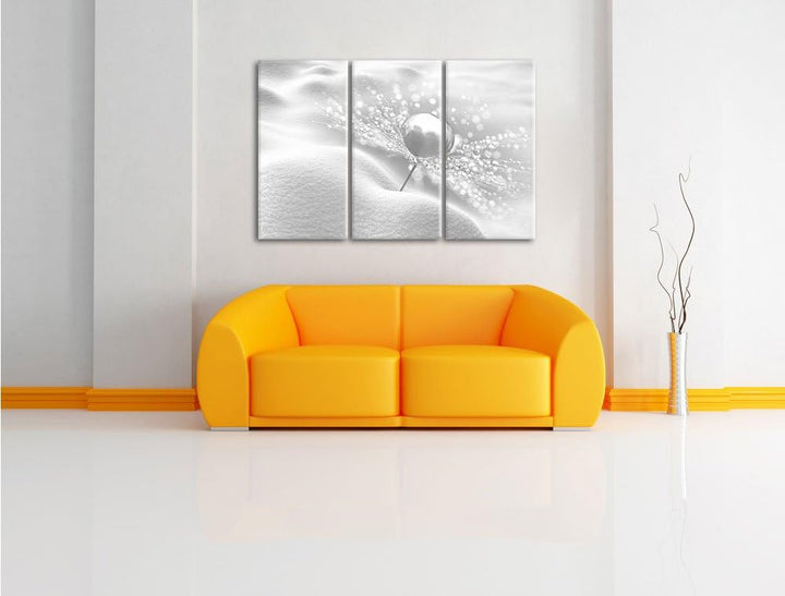 Pixxprint Tautropfen auf Einer Pusteblume im Schnee Kunst B&W 3-Teiler Leinwandbild 120x80 Bild auf