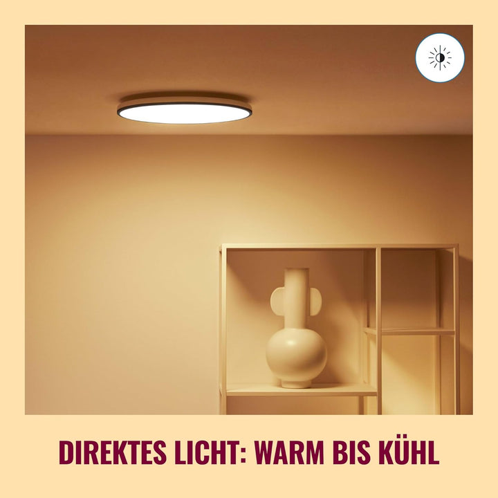 WiZ Rune Deckenleuchte Tunable White and Color, dimmbar, 16 Mio. Farben, smarte Steuerung per App/St