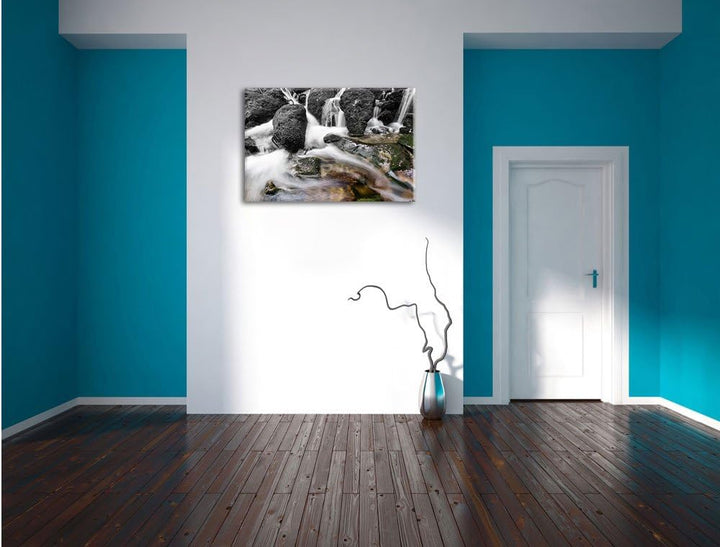 Pixxprint Gertelbach im Schwarzwald B&W Detail, Format: 100x70 auf Leinwand, 100x70