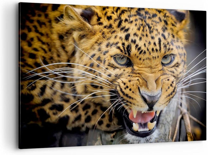 Bilder auf Leinwand 100x70cm Leinwandbild Leopard tier savanne afrika Gross Wanddeko Bild Schlafzimm